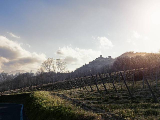 Villa Indipendente in vendita a Vernasca, Reggio Emilia