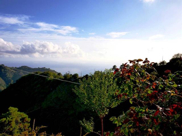 Villa Indipendente in vendita a Vernazza, Liguria