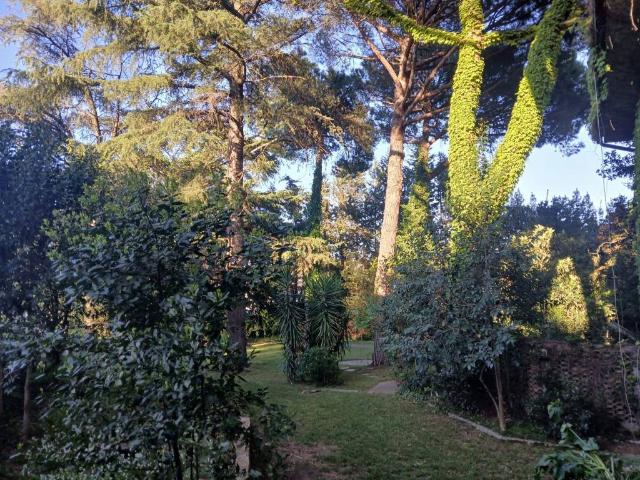 Villa Indipendente in vendita a Mazzocchio Basso, Vetralla