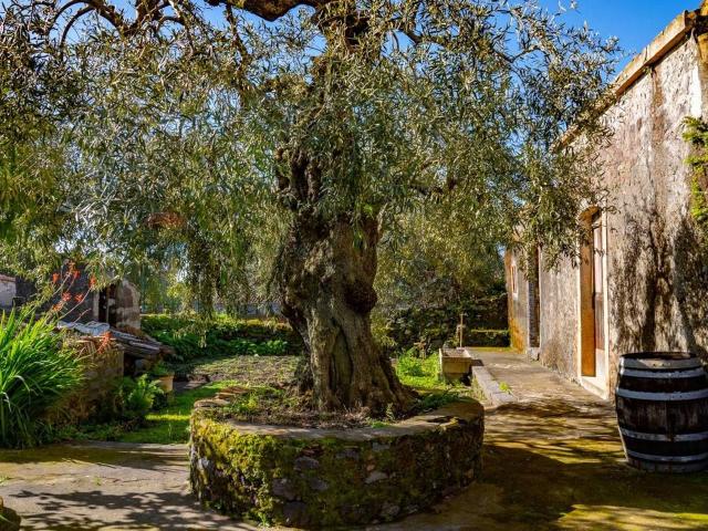 Villa Indipendente in vendita a Viagrande, Sicilia