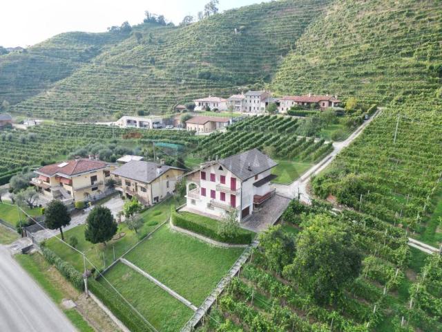 Villa Indipendente in vendita a Vidor, Veneto