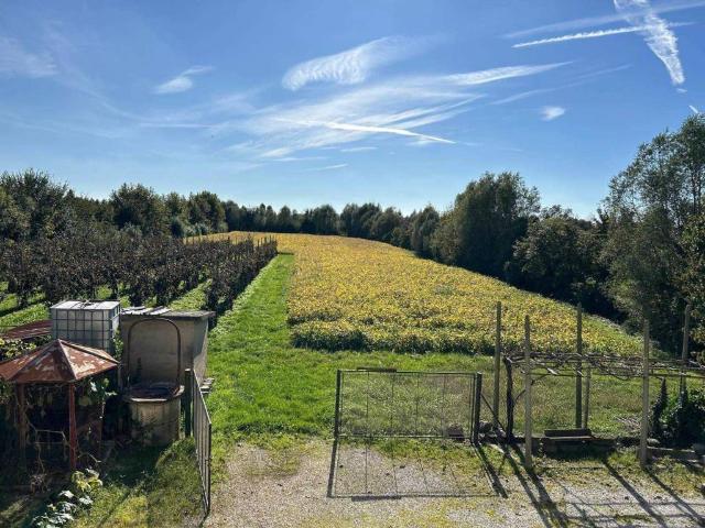 Villa Indipendente in vendita a Perarolo, Vigonza