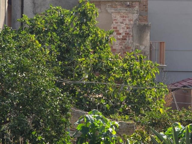 Villa Indipendente in vendita a Castello, Villafranca Tirrena