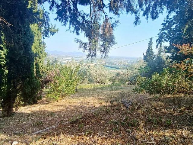 Villa Indipendente in vendita a Villaga, Veneto