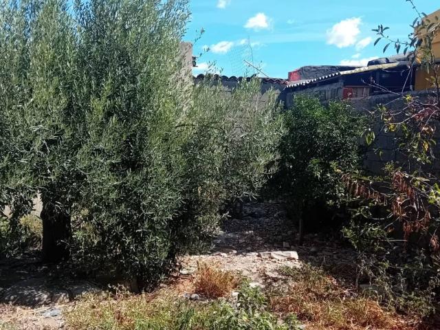 Villa Indipendente in vendita a Villaurbana, Sardigna/Sardegna