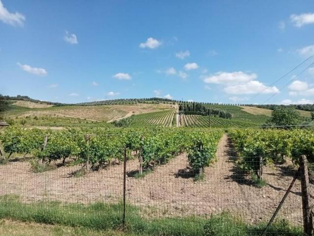 Villa Indipendente in vendita a Unione dei Comuni Circondario dell'Empolese Valdelsa, Vinci