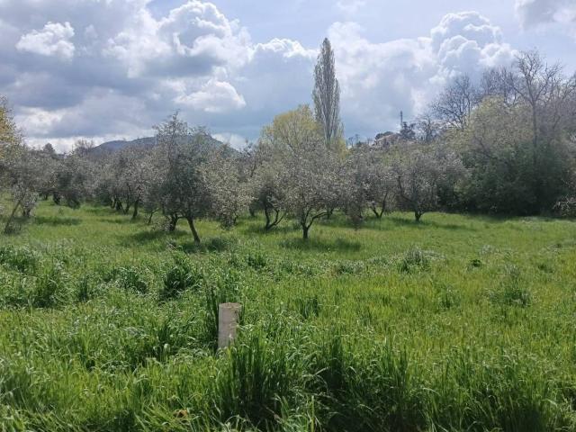 Rustico in vendita a Viterbo, Lazio
