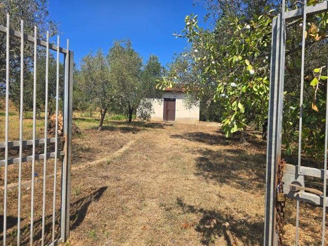 Villa Indipendente in vendita a Calabria, Vibo Valentia