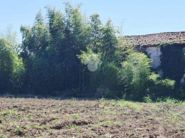 Villa Indipendente in vendita a Zevio, Veneto