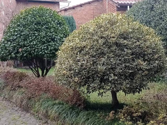 Villa Indipendente in vendita a Piemonte, Torino