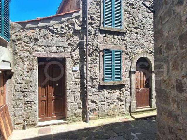 Villa Indipendente in vendita a Unione dei Comuni Montani Amiata Grossetana, Arcidosso