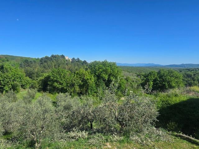 Villa Indipendente in vendita a Vagli, Baschi