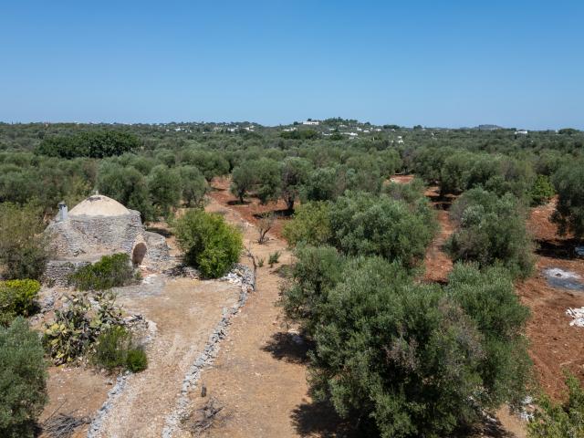Villa Indipendente in vendita a Puglia, Brindisi