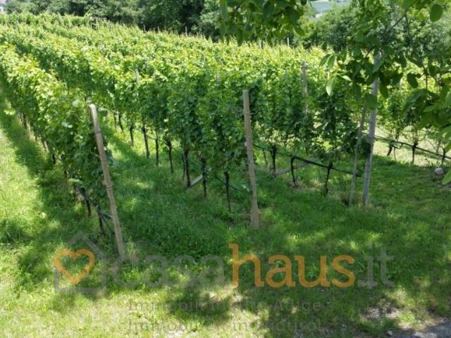 Villa Indipendente in vendita a Überetsch-Unterland - Oltradige-Bassa Atesina, Termeno - Tramin