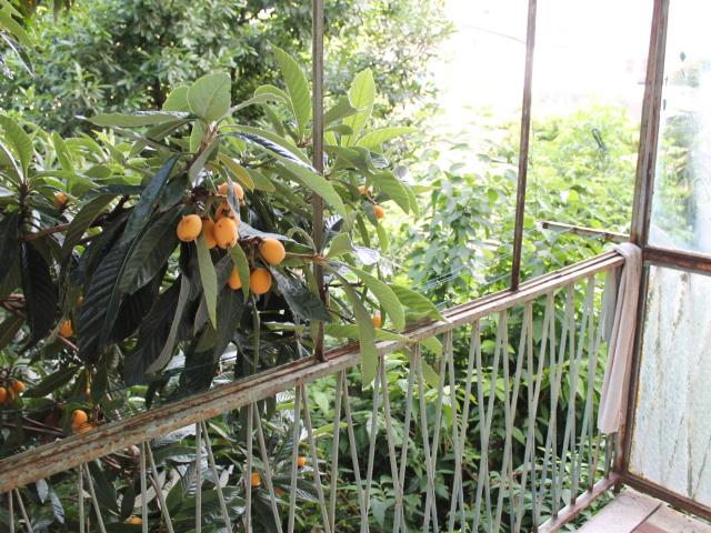Villa Indipendente in vendita a Fiera-Catena, San Giorgio Di Mantova