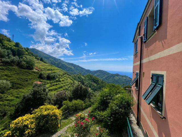 Villa Indipendente in vendita a Fontanella, Vernazza