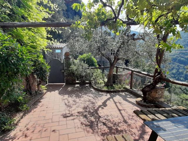 Villa Indipendente in vendita a Lombrici, Camaiore