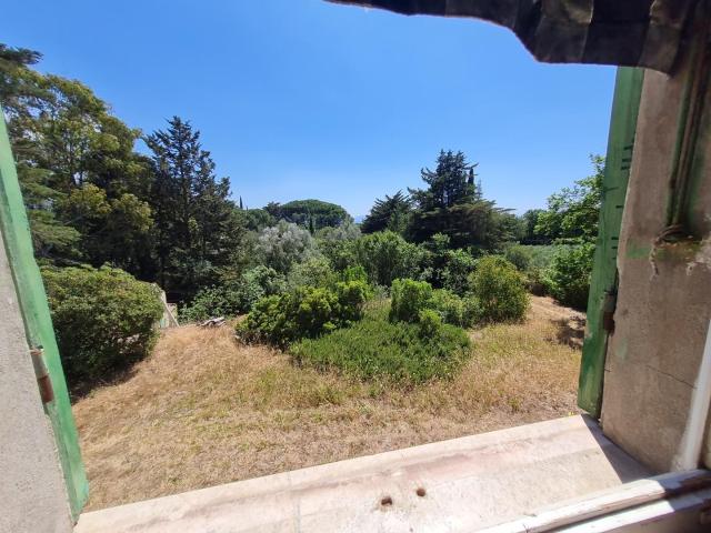 Villa Indipendente in vendita a Campiglia Marittima, Livorno