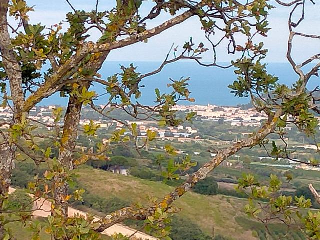 Villa Indipendente in vendita a Agraria, Marche