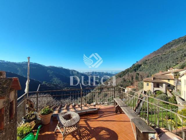 Villa Indipendente in vendita a Torcigliano, Camaiore
