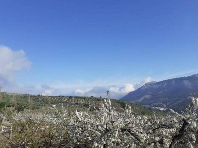 Casa en alquiler en Torres, Jaén