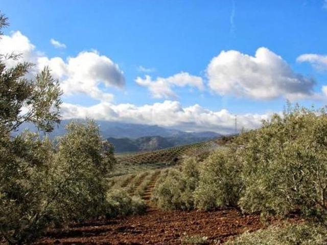 Casa en alquiler en Sierra de las Nieves, Andalucía