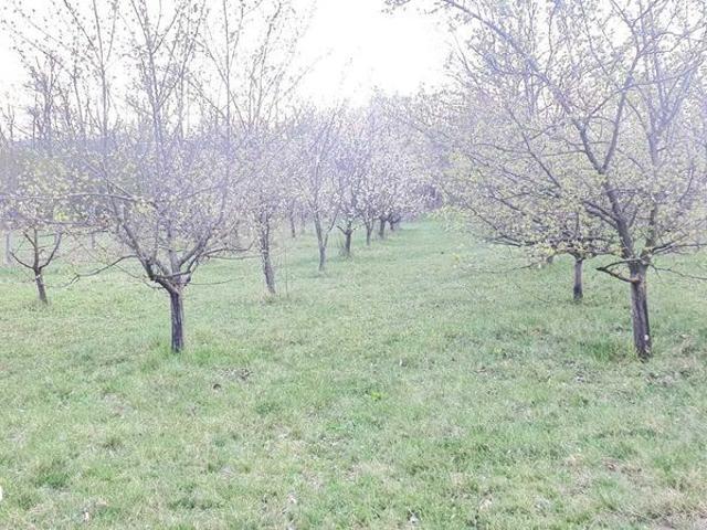 Casă vânzări în Valea Salciilor