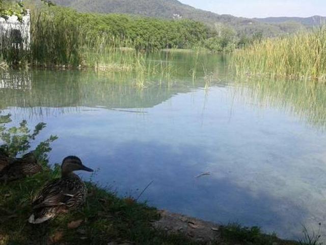 Casa en alquiler en Pla de l'Estany, Catalunya