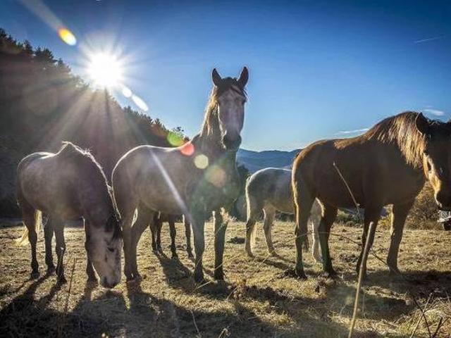 Casa en alquiler en Pallars Jussà, Catalunya