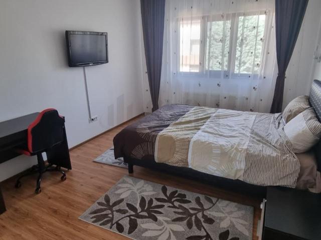 Casă închirieri