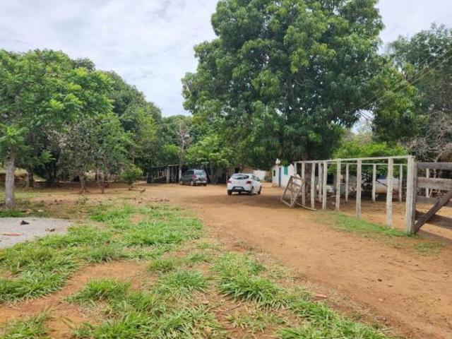 Sítio e chácara venda em Região Geográfica Imediata de Luziânia, Região Integrada de Desenvolvimento do Distrito Federal e Entorno