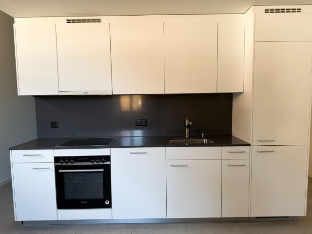 Apartment mieten in Bellinzona, Tessin