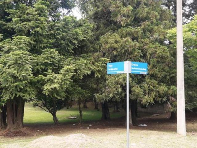 Casa venda em Região Geográfica Imediata de Caxias do Sul, Nova Petrópolis