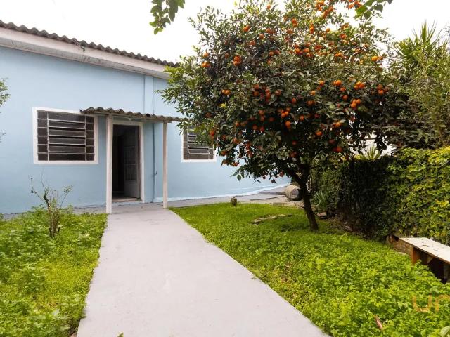 Apartamento aluguel em Região Geográfica Imediata de Curitiba, Região Metropolitana de Curitiba