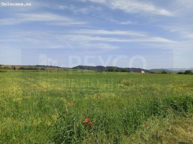 Local Comercial en venta en Alesanco, La Rioja