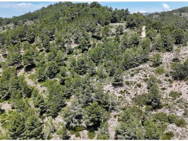 Local Comercial en venta en Ribera d'Ebre, Catalunya