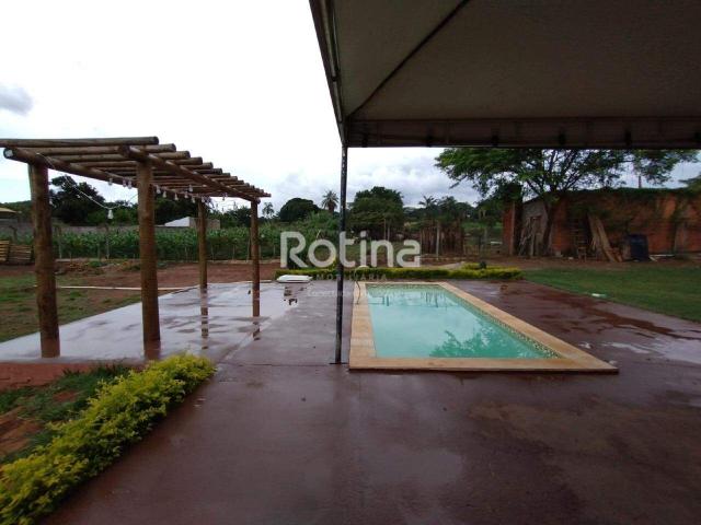 Casa aluguel em Região Geográfica Imediata de Uberlândia, Oliveira Fortes