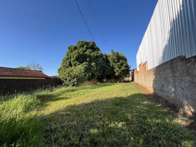Casa aluguel em Região Geográfica Imediata de Dourados, Dourados