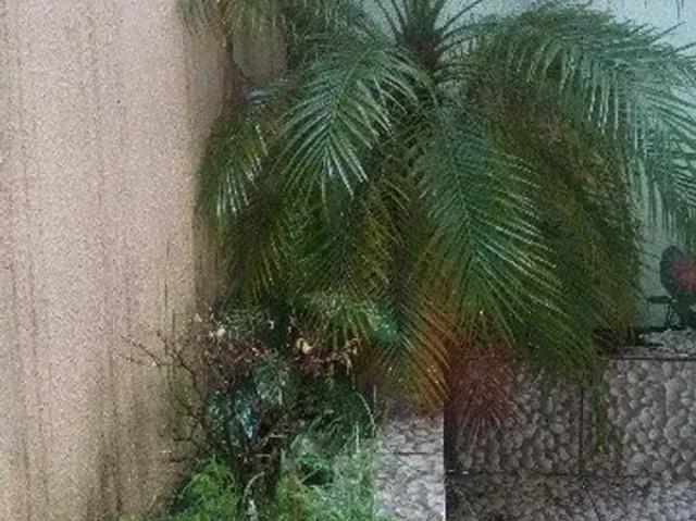 Casa aluguel em Região Imediata de Bauru, Bauru