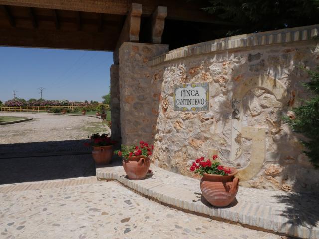 Casa en venta en Fuentelencina, Castilla-La Mancha