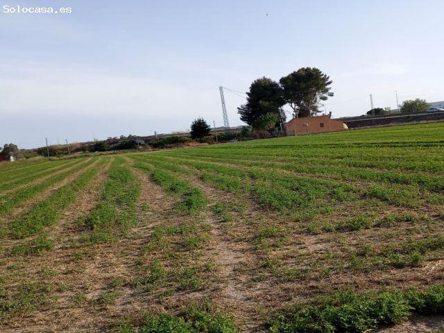 Casa en venta en el Baix Segura / La Vega Baja, Valencia