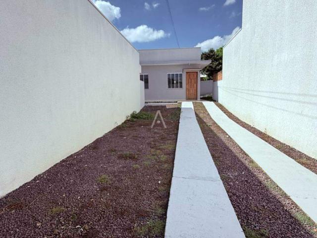 Casa aluguel em Região Geográfica Imediata de Cascavel, Cascavel