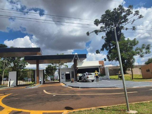 Casa aluguel em Região Geográfica Imediata de Cascavel, Cascavel