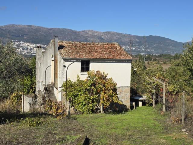 Quinta venda em Castelo Branco, Ferro