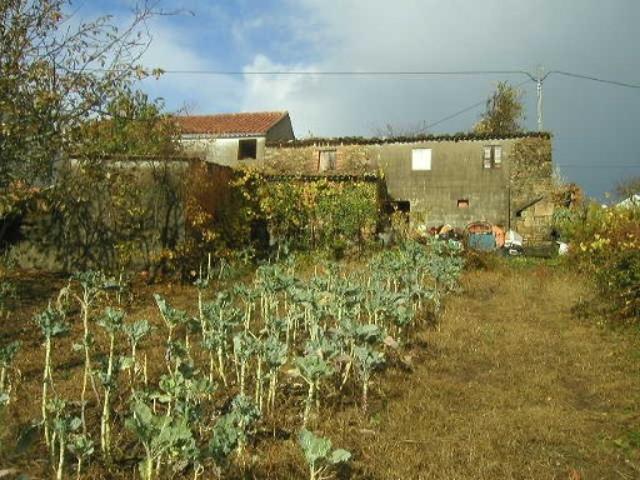 Casa venda em Coimbrã, Ceira