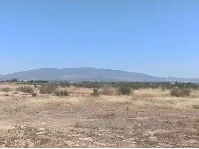 Casa en venta en El Alamillo, Bajo Guadalentín