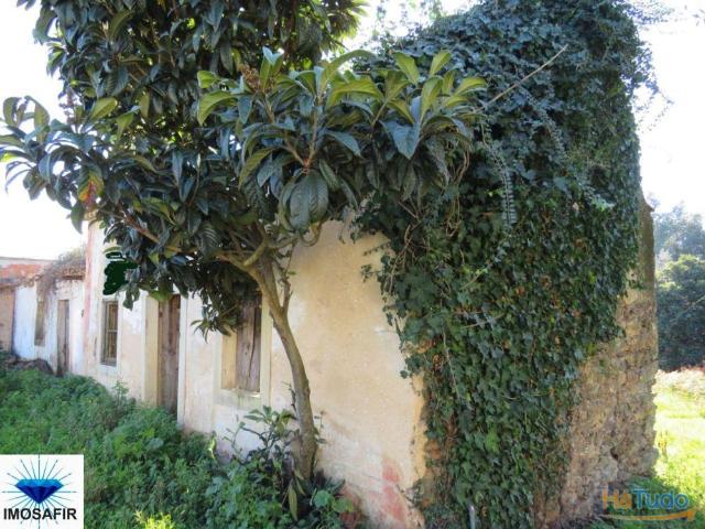 Casa venda em Rego Da Murta, Santarém
