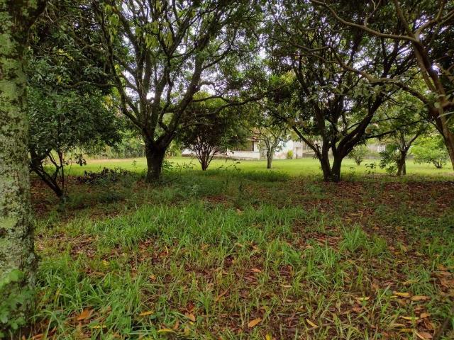 Sítio e chácara venda em Região Imediata de Campinas, Região Metropolitana de Campinas