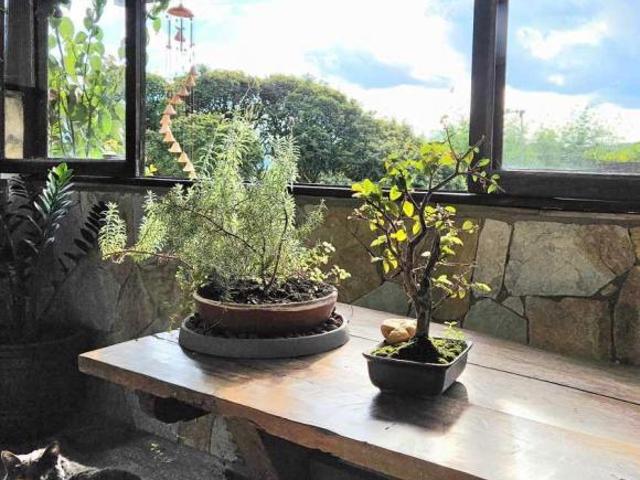 Casa venda em Região Geográfica Imediata de Santa Bárbara - Ouro Preto, Ouro Preto