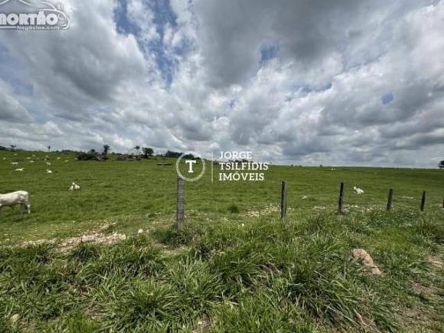 Casa venda em Canteiro Central, Alta Floresta